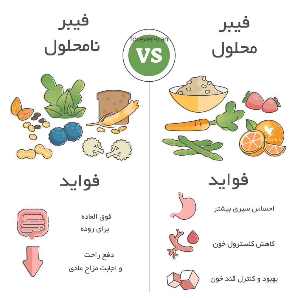 انواع فیبر